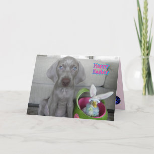 Cartes Pour Fêtes Annuelles Brooklyn's Easter - Weimaraner Dog / Puppy Card