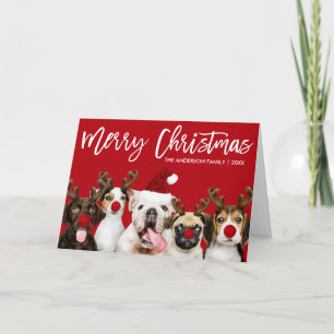 Cartes Pour Fêtes Annuelles Brosse Script Star Chiens de Noël Rouge Plié