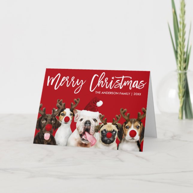 Cartes Pour Fêtes Annuelles Brosse Script Star Chiens de Noël Rouge Plié (Devant)