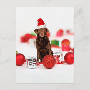Cartes Pour Fêtes Annuelles Brown Labrador Chien Noël w Cadeaux Santa Hat