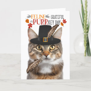Cartes Pour Fêtes Annuelles Brown Tabby Cat Feline Grateful pour PURRkey Day