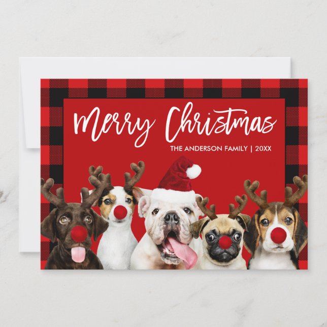 Cartes Pour Fêtes Annuelles Brush Script Joyeux Chiens de Noël Rouge Plaid (Devant)