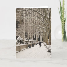 Bryant Park hiver