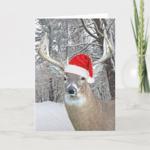 Cartes Pour Fêtes Annuelles Buck de Noël dans des flocons de neige
