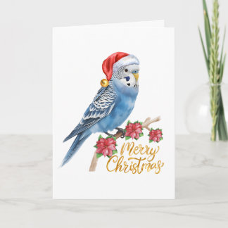 Cartes Pour Fêtes Annuelles Budgie Christmas Card