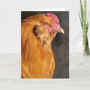 Cartes Pour Fêtes Annuelles Buff Ameraucana Rooster Toutes les occasions Salut