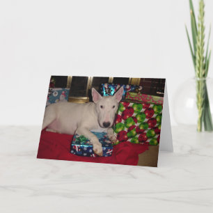 Cartes Pour Fêtes Annuelles bull anglais terrier noël foyer actuel