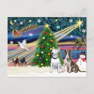 Cartes Pour Fêtes Annuelles Bull Terriers Magie de Noël (deux)