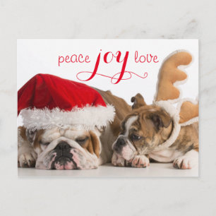 Cartes Pour Fêtes Annuelles Bulldog Anglais Père Noël Et Reindeer