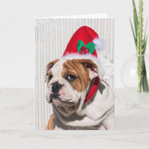 Cartes Pour Fêtes Annuelles Bulldog Chiot avec Casquette de Noël