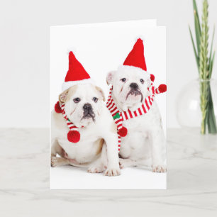 Cartes Pour Fêtes Annuelles Bulldog Elves