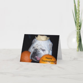 Cartes Pour Fêtes Annuelles Bulldog Thanksgiving