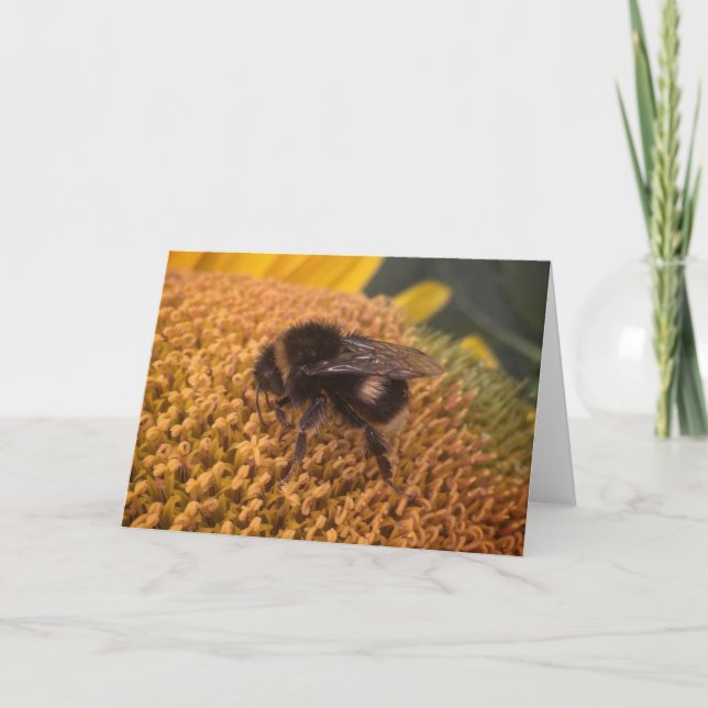 Cartes Pour Fêtes Annuelles Bumblebee de tournesol (Devant)