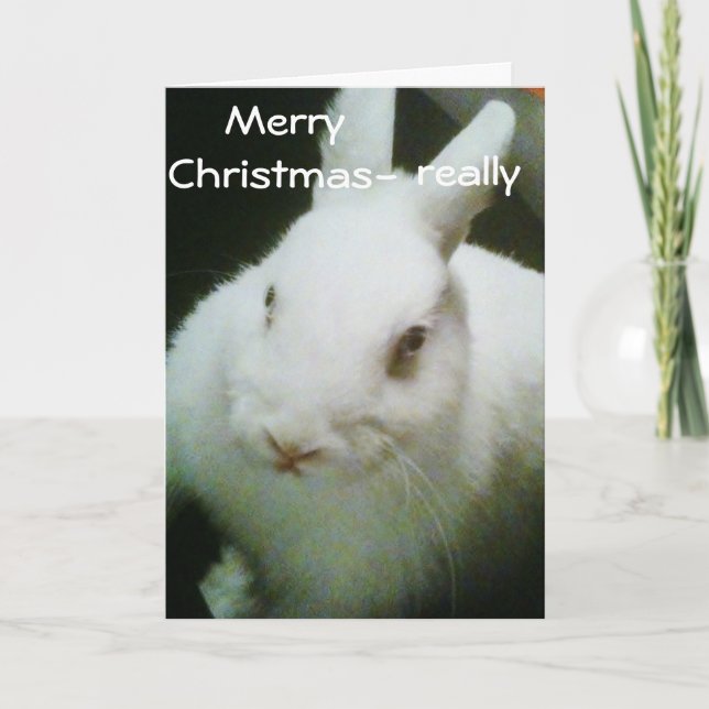 CARTES POUR FÊTES ANNUELLES BUNNY CÉLÈBRE "NOËL" (Devant)