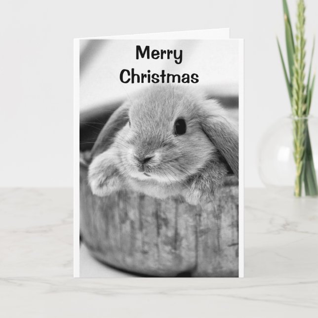 CARTES POUR FÊTES ANNUELLES BUNNY COMIQUE DIT **MERRY NOËL** (Devant)