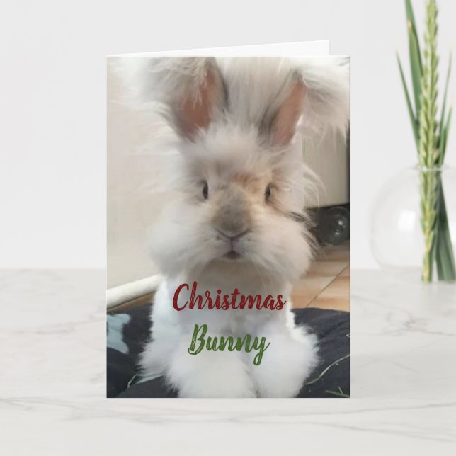 CARTES POUR FÊTES ANNUELLES **BUNNY DE NOËL POUR MON HONNEUR" (Devant)