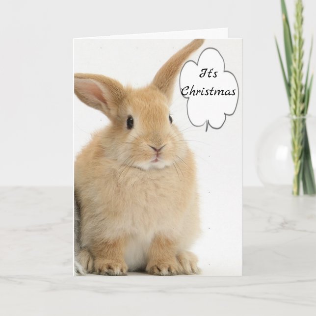 CARTES POUR FÊTES ANNUELLES BUNNY VIENT DIRE : "JEUNE NOËL* (Devant)