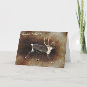 Cartes Pour Fêtes Annuelles Buon Natale - caribou de Taureau (renne)
