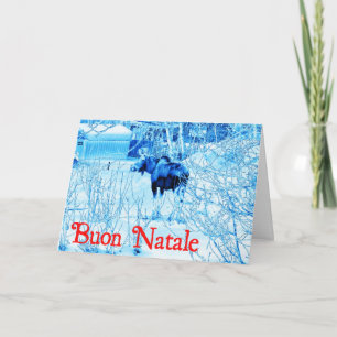 Cartes Pour Fêtes Annuelles Buon Natale - Oie urbaine