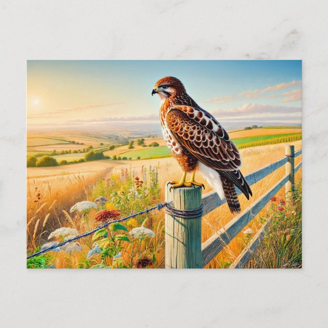 Cartes Pour Fêtes Annuelles Buse commune sur la clôture sur la prairie (Devant)