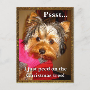 Cartes Pour Fêtes Annuelles Busted Yorkie