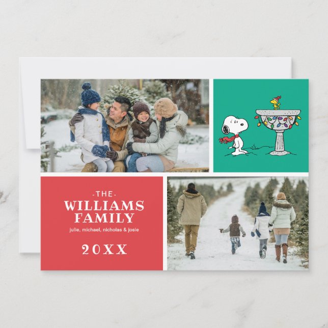 Cartes Pour Fêtes Annuelles Cacahuètes | Baignoire pour oiseaux gelée de Snoop (Devant)