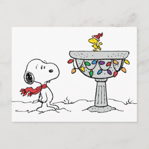 Cartes Pour Fêtes Annuelles cacahuètes   Snoopy & Woodstock Froid Birdbath