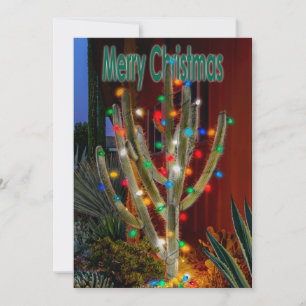 Cartes Pour Fêtes Annuelles Cactus de Noël avec Joyeux Noël.