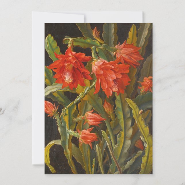 Cartes Pour Fêtes Annuelles Cactus de Noël | Christian Möllback (Devant)