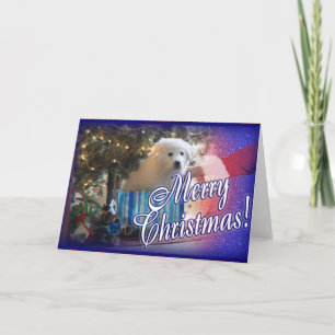 CARTES POUR FÊTES ANNUELLES CADEAU DE CHIOT DE NOËL DES GRANDS PYRÉNÉES DE