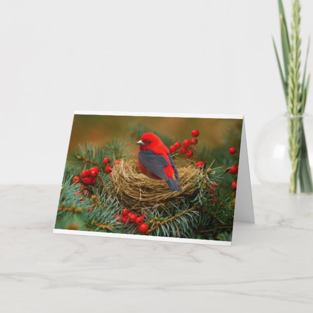 Cartes Pour Fêtes Annuelles Cadeau de natures (Devant)