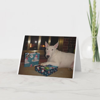 Cartes Pour Fêtes Annuelles cadeau de Noël anglais de bull-terrier