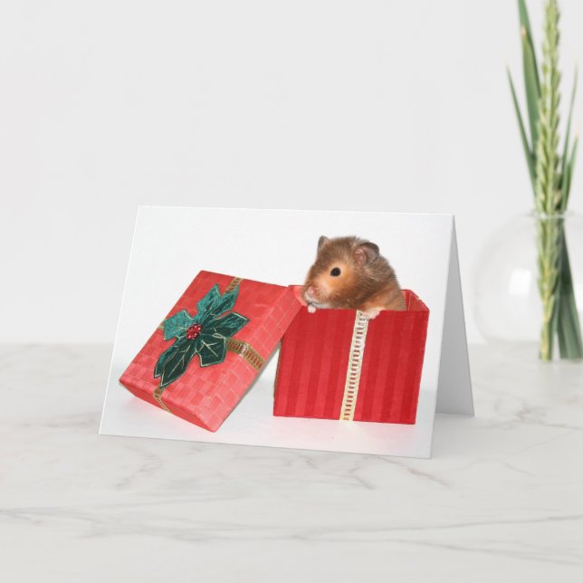 Cartes Pour Fêtes Annuelles Cadeau de Noël de hamster (Devant)