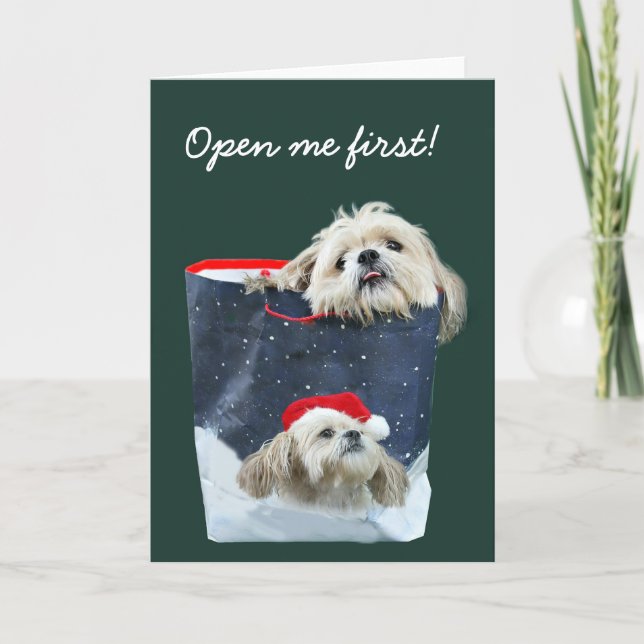 Cartes Pour Fêtes Annuelles Cadeau de Noël de Shih Tzu (Devant)