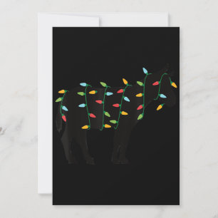 Cartes Pour Fêtes Annuelles Cadeau de Noël pour amateur d'ânes et d'animaux de