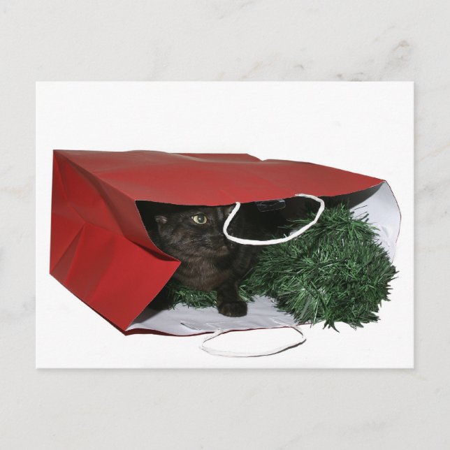 Cartes Pour Fêtes Annuelles Cadeau de Noël spécial (Devant)