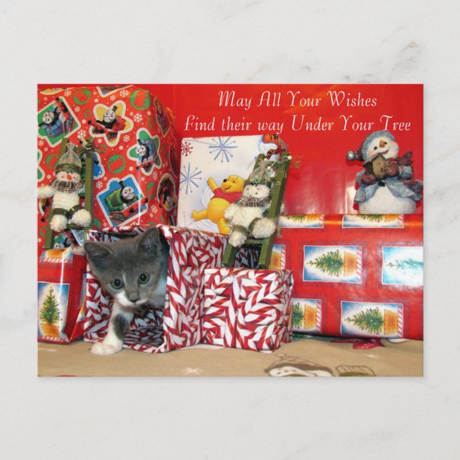 Cartes Pour Fêtes Annuelles Cadeaux de Noël de Bob - Chat / Kitten Noël (Devant)