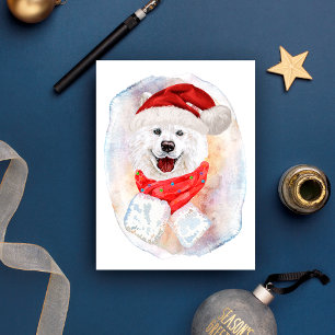 Cartes Pour Fêtes Annuelles Cadeaux de Noël Samoyède pour les amateurs de chie