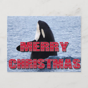 Cartes Pour Fêtes Annuelles Cadeaux d'houblon d'espion de baleine d'orque de