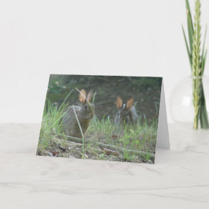 Cartes Pour Fêtes Annuelles Cadeaux sauvages d'habillement de paires de lapin