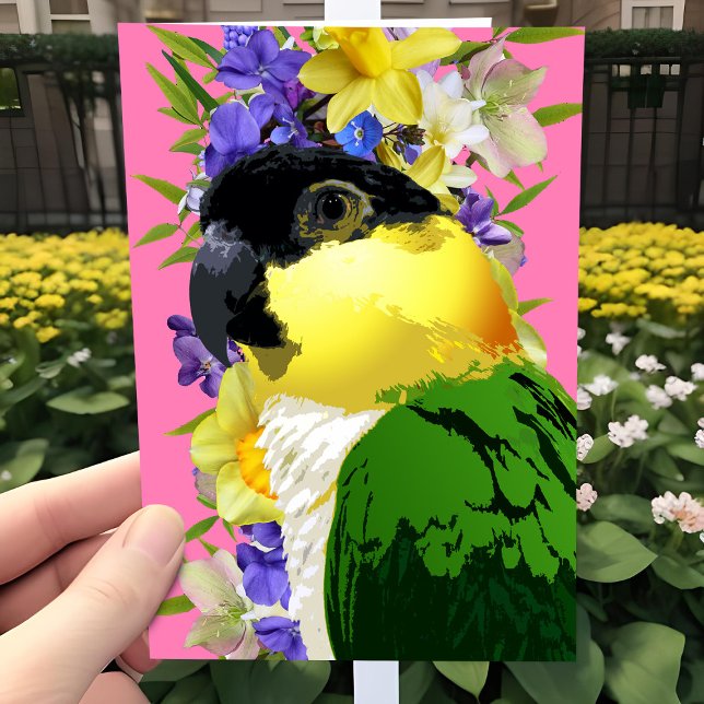 Cartes Pour Fêtes Annuelles Caique Parrot Joli Printemps Floral Animaux Animau (Caique parrot Spring floral all occasion greeting card. Pretty for birthday or Mother's Day.)