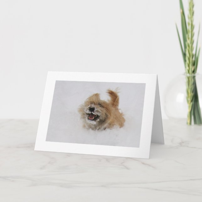 Cartes Pour Fêtes Annuelles Cairn Pounce (Devant)