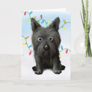 Cartes Pour Fêtes Annuelles Cairn Terrier 2 Noël