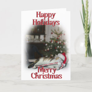 Cartes Pour Fêtes Annuelles Cali, le Sucre de canne Kitty