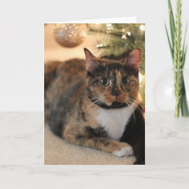 Cartes Pour Fêtes Annuelles Calico Kitty sous l'arbre de Noël