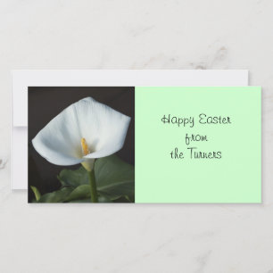 Cartes Pour Fêtes Annuelles Calla Lily