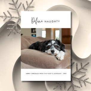 Cartes Pour Fêtes Annuelles Calligraphie Définir Naughty Dog Christmas Pet Pho