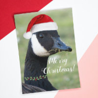 Canada Goose Portant le Santa Hat Holiday