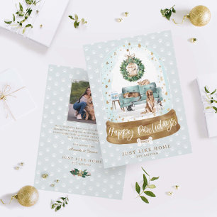 Cartes Pour Fêtes Annuelles Canapé Vert Globe Neige Accueil Animaux assis Affa