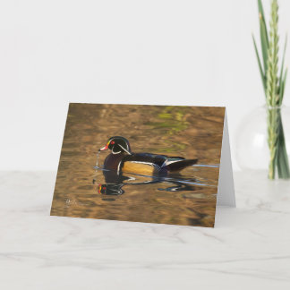 Cartes Pour Fêtes Annuelles Canard en bois, mâle dans la lumière de soirée,